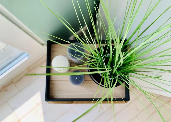 Oberwinter Bonn By Interhome