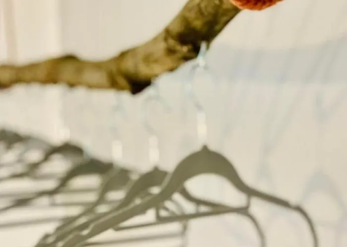 Oberwinter Bonn By Interhome רמאגן